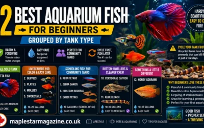 best aquarium fish for beginners 2026 easy picks | maplestarmagazine.co.uk